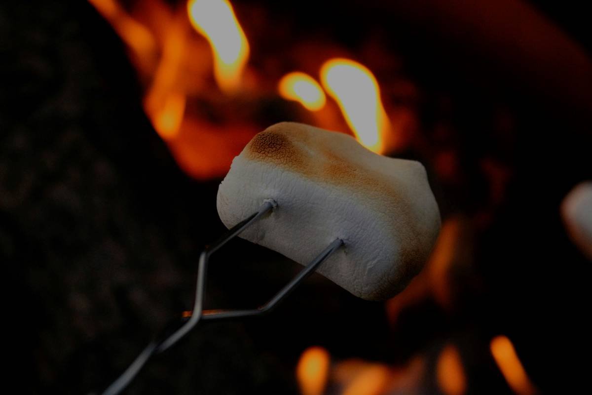 Cooking Bread on a Stick: Why Your Bread Machine Can’t Help (And What Actually Works)